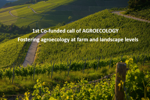 1st Co-funded call of AGROECOLOGY